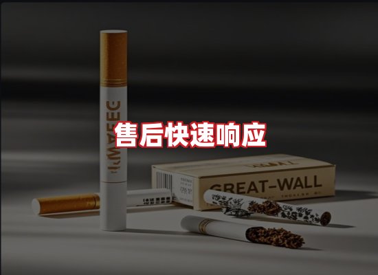 专业团队